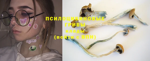 ПСИЛОЦИБИНОВЫЕ ГРИБЫ Володарск