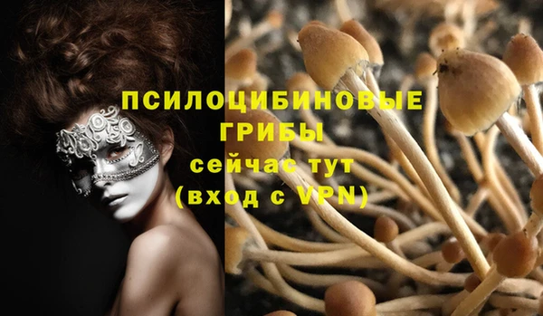 ПСИЛОЦИБИНОВЫЕ ГРИБЫ Володарск