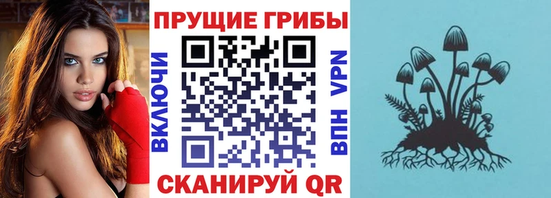 Галлюциногенные грибы Cubensis Назарово
